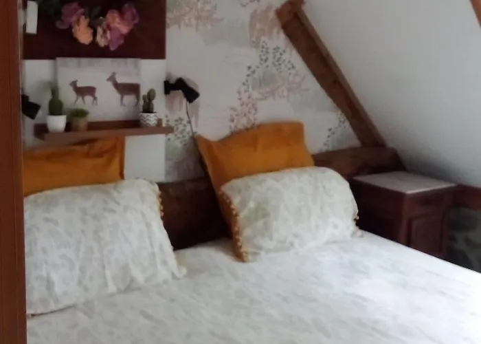 Au Petit Bonheur * Putanges