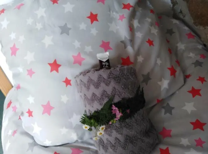 Au Petit Bonheur * Putanges